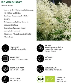 Dehner Bio Bio Stauden|Gräser- & Stauden-Sets - Bio Stauden-Set Schattenplatz, Landlust Kollektion, 18-teilig