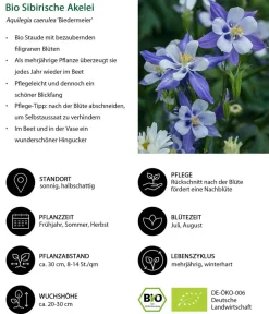 Dehner Bio Bio Stauden|Gräser- & Stauden-Sets - Bio Stauden-Set Schattenplatz, Landlust Kollektion, 18-teilig