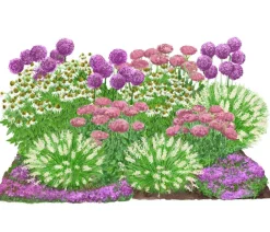 Dehner Bio Bio Stauden|Gräser- & Stauden-Sets - Bio Stauden-Set Sonnenzeit, Landlust Kollektion, 18-teilig