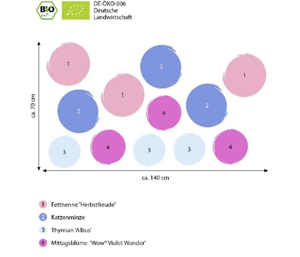 Dehner Bio Bio Stauden|Gräser- & Stauden-Sets > Bio Stauden-Set Terrassenglück, Landlust Kollektion, 12-teilig