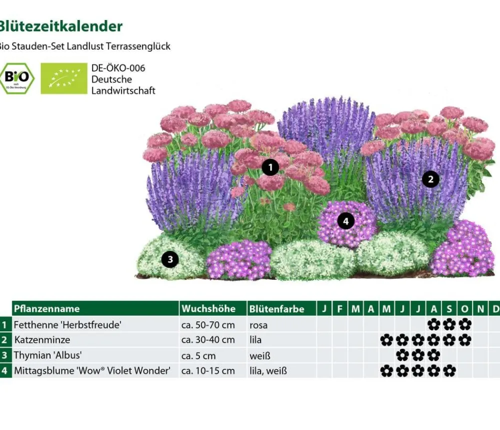 Dehner Bio Bio Stauden|Gräser- & Stauden-Sets > Bio Stauden-Set Terrassenglück, Landlust Kollektion, 12-teilig
