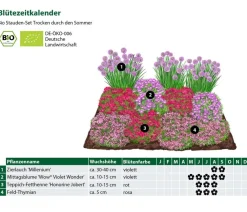 Dehner Bio Bio Stauden-Set Trocken durch den Sommer, 12-teilig Best