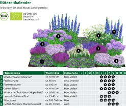 Dehner Bio Bio Stauden-Set -es Gartenparadies, 24-teilig