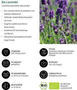 Dehner Bio Bio Stauden-Set -es Gartenparadies, 24-teilig