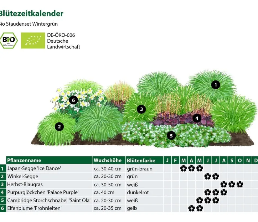 Dehner Bio Bio Stauden|Gräser- & Stauden-Sets - Bio Stauden-Set Winter, 18-teilig