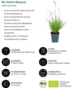 Dehner Bio Bio Stauden|Gräser- & Stauden-Sets - Bio Stauden-Set Winter, 18-teilig