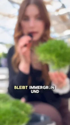 Dehner Bio Bio Sternmoos Best