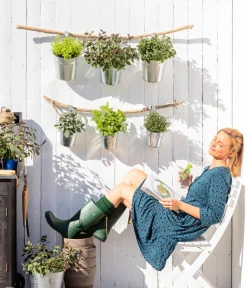 Dehner Bio Bio-Kräuter|Garten- & Heilkräuter - Bio Thymian Grün