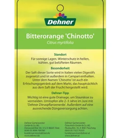 Dehner Zitruspflanzen|Terrassenpflanzen > Bitter 'Chinotto'