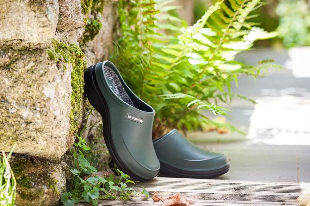 AJS Blackfox Blackfox Clog Mellow Dunkelgrün Online