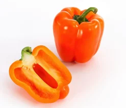 Dehner Peperoni- & Paprikapflanzen - Blockpaprika, Orange