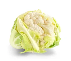 Dehner Blumenkohl, 6er Schale Discount