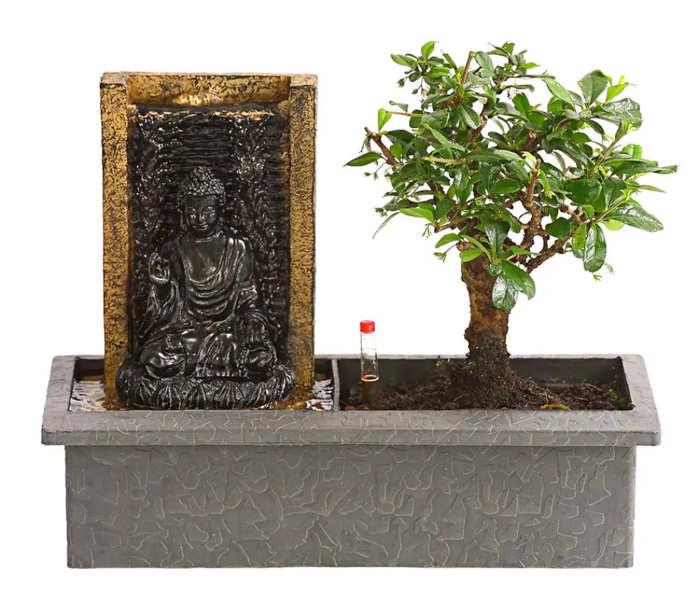 Dehner Bonsai, mit Brunnen Sale