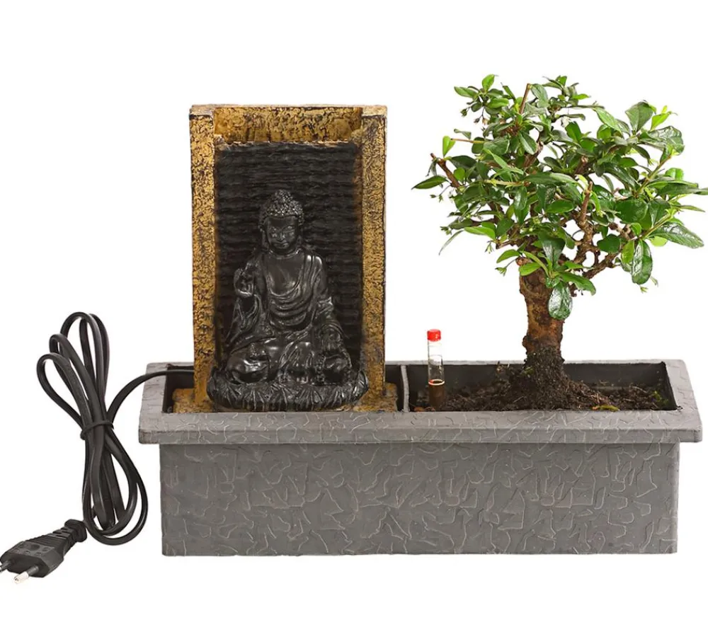 Dehner Bonsai, mit Brunnen Sale