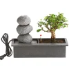 Dehner Bonsai - Bonsai, mit Brunnen