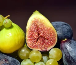 Dehner Nüsse & Besondere Obstbäume|Obstbäume > Bornholmfeige