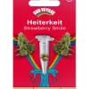 Bud Voyage Mehr Saatgut > Hanfsamen Heiterkeit Strawberry Smile, 3 Stk.