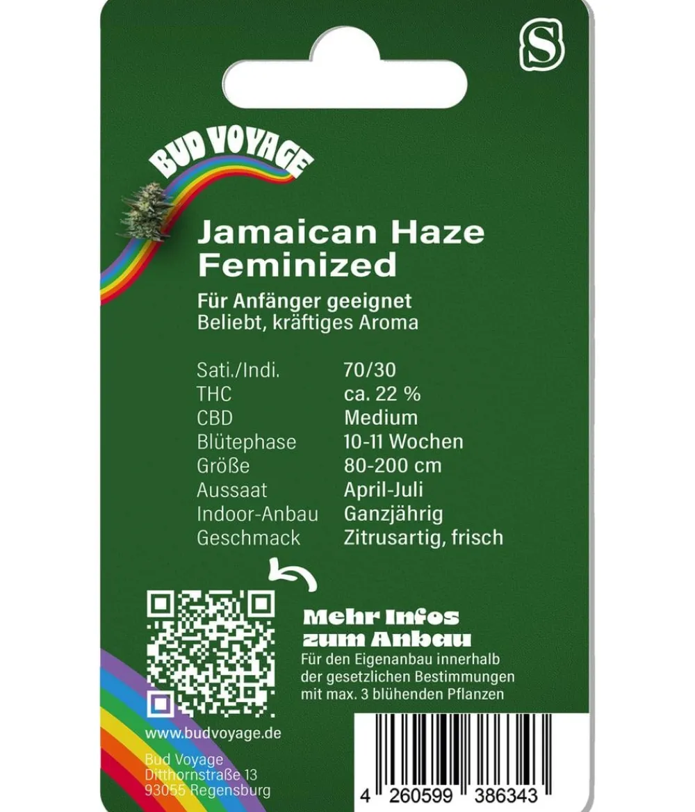 Bud Voyage Mehr Saatgut > Hanfsamen Lachflash Jamaican Haze, 3 Stk.
