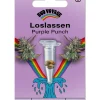 Bud Voyage Mehr Saatgut - Hanfsamen Loslassen Purple Punch, 3 Stk.