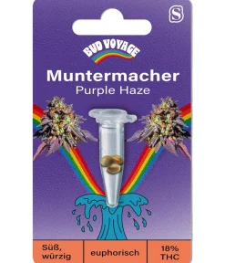 Bud Voyage Hanfsamen Muntermacher Purple Haze, 3 Stk.