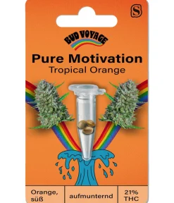 Bud Voyage Hanfsamen Pure Motivation Tropical Orange, 3 Stk.