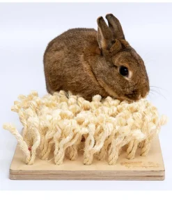 bunny® NATURE by puppijames Nagerspielzeug Schnüffelbrett, ca. B24,5/H9/T24,5 cm Hot
