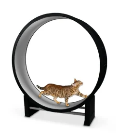 CanadianCat Company® Katzenlaufrad Cat in Motion XL, ca. B131/H144/T31 cm Hellgrau Clearance