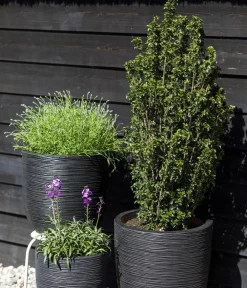 Capi Europe Kunststoff-Topf Rib hoch, rund Schwarz Clearance