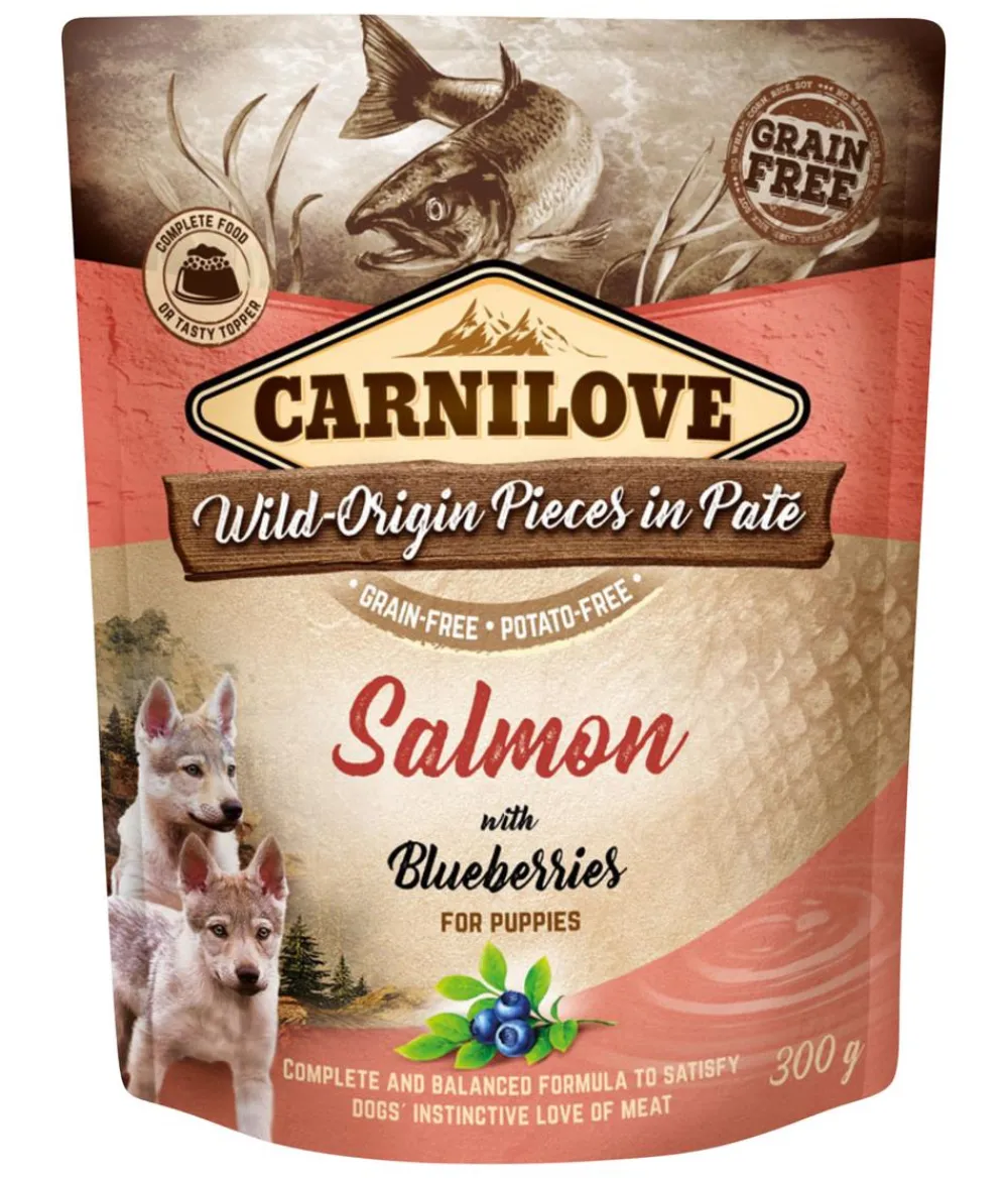 Carnilove Nassfutter für Hunde Wild-Origin Paté Puppy, Lachs & Blaubeeren, 300 g New