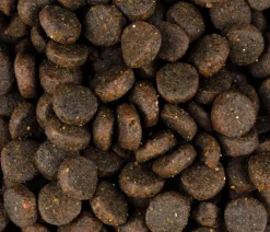Carnilove Trockenfutter Hund - Trockenfutter für Hunde Puppy, Lachs & Truthahn