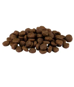 Carnilove Trockenfutter Hund - Trockenfutter für Hunde Puppy, Lachs & Truthahn