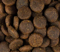 Carnilove Trockenfutter für Hunde Large Breed Puppy, Lachs & Truthahn Outlet