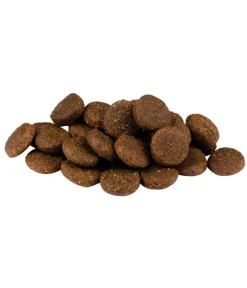Carnilove Trockenfutter Hund - Trockenfutter für Hunde Large Breed Puppy, Lachs & Truthahn