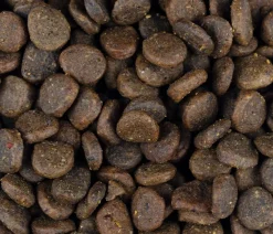 Carnilove True Fresh Trockenfutter für Hunde Welpen, Truthahn Online