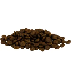 Carnilove True Fresh Trockenfutter für Hunde Small Breed Adult, Fisch Discount