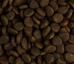 Carnilove True Fresh Trockenfutter für Hunde Small Breed Adult, Fisch Discount