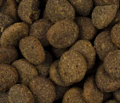 Carnilove True Fresh Trockenfutter für Hunde Senior & Healthy Weight, Huhn Sale