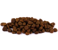 Carnilove True Fresh Trockenfutter für Katzen Adult, Fisch Online