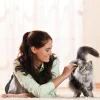 Cativia Katzenleckerlies & Getränke - Katzensnack Katzenmilch, 24 x 95 ml