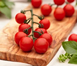 Dehner Auberginen- & Tomatenpflanzen - Cherrytomate 'Pepe' Rot