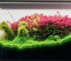 Chihiros Beleuchtung - Aquariumbeleuchtung LED-System B Serie Silber