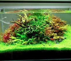 Chihiros Beleuchtung > Aquariumbeleuchtung LED-System A II Serie