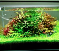 Chihiros Aquariumbeleuchtung LED-System A II Serie Schwarz Hot