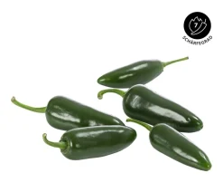 Dehner Chili 'Jalapeño' Rot Outlet