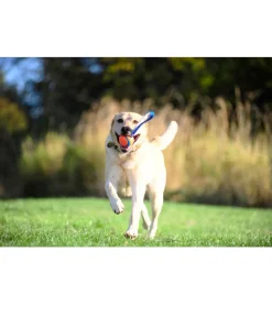 Chuckit! Hundespielzeug > ® Hundespielzeug Ultra Tug mit Handschlaufe