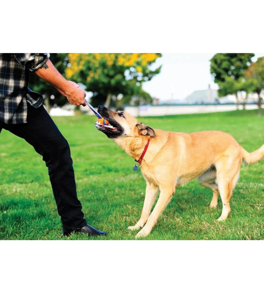 Chuckit! ® Hundespielzeug Ultra Tug mit Handschlaufe Orange Online