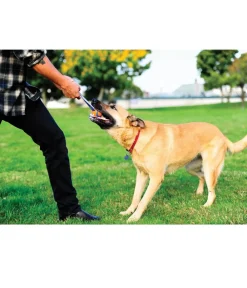 Chuckit! Hundespielzeug - ® Hundespielzeug Ultra Tug mit Handschlaufe Orange