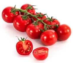 Dehner Auberginen- & Tomatenpflanzen - Cocktailtomate, Rot