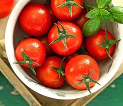 Dehner Auberginen- & Tomatenpflanzen - Cocktailtomate, Rot