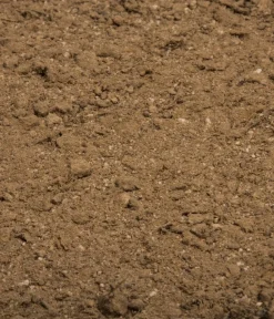 Compo Universaldünger|Blumendünger > BIO Naturdünger mit Guano